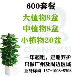 600元/月