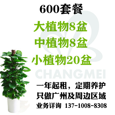 600元/月