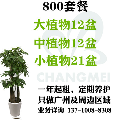 800元/月