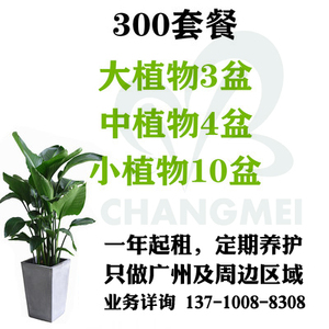 300元/月